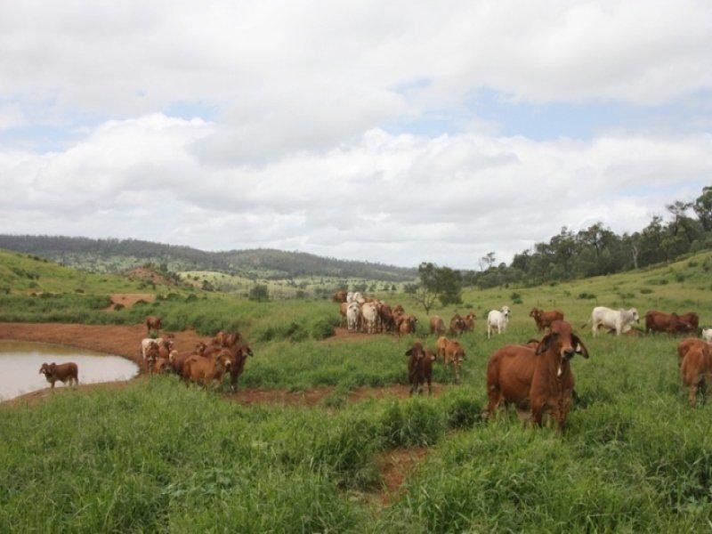 Monto QLD 4630