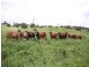 Monto QLD 4630