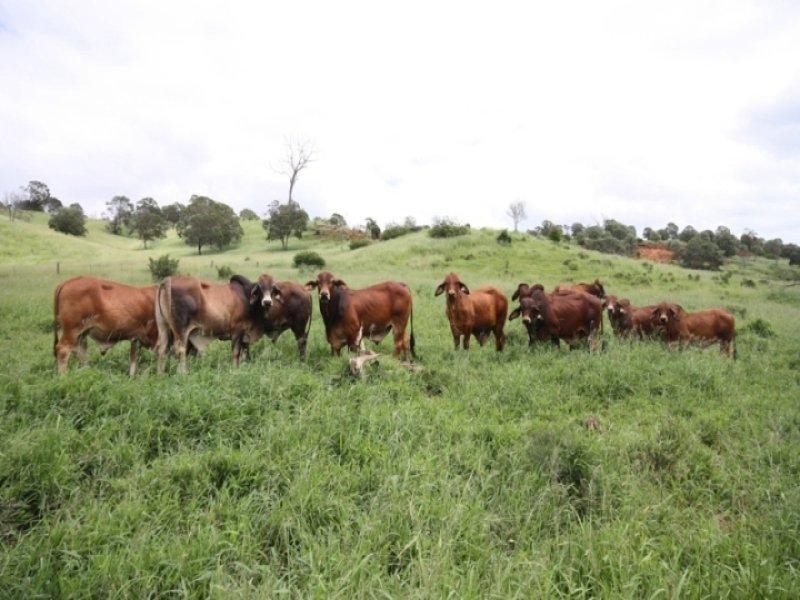 Monto QLD 4630