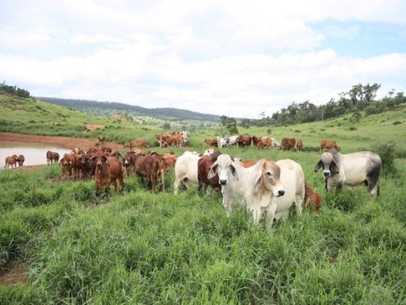 Monto QLD 4630