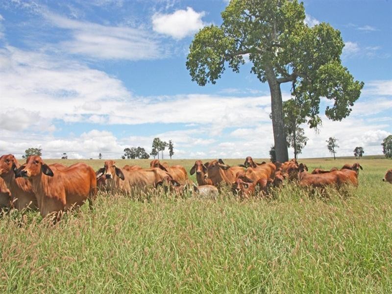 Monto QLD 4630