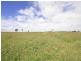 Monto QLD 4630