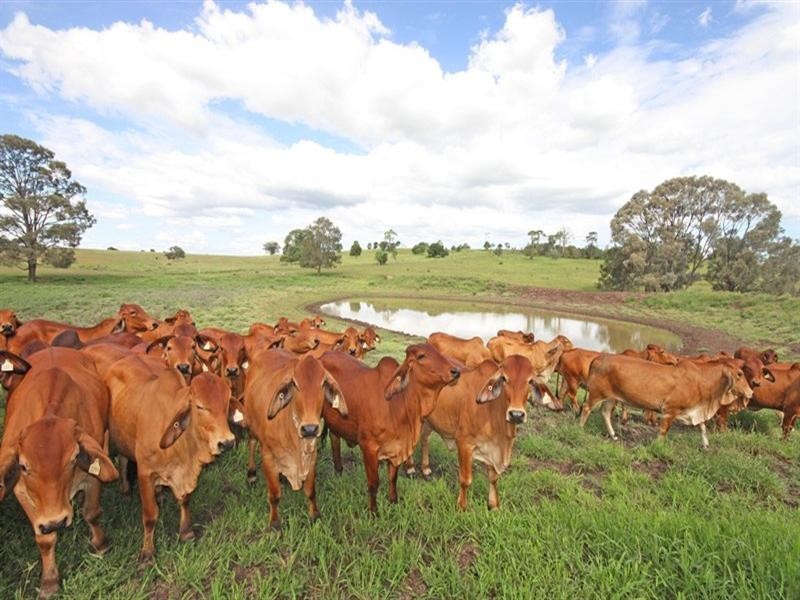 Monto QLD 4630