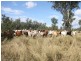 Thangool QLD 4716