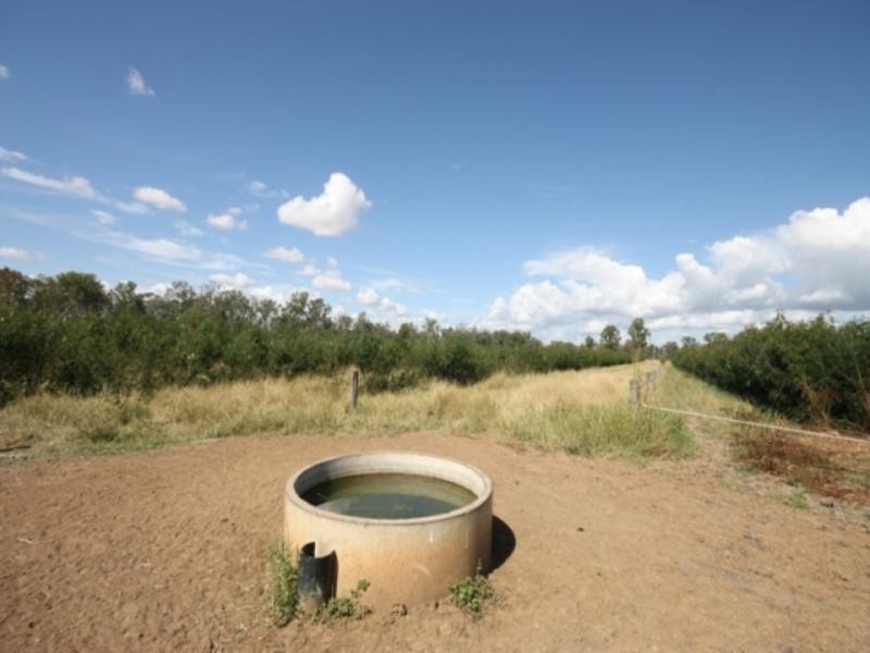 Thangool QLD 4716