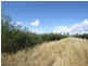 Thangool QLD 4716