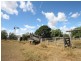Thangool QLD 4716