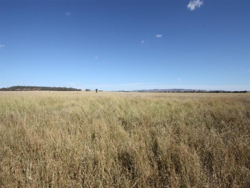 Biloela QLD 4715
