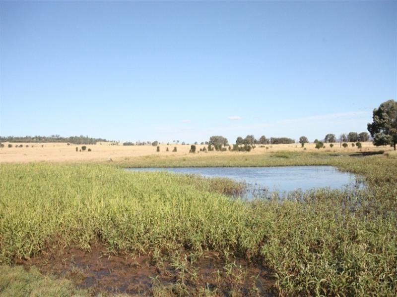 Biloela QLD 4715