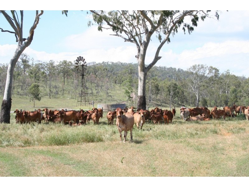 200 Zangaries Road, Biloela QLD 4715