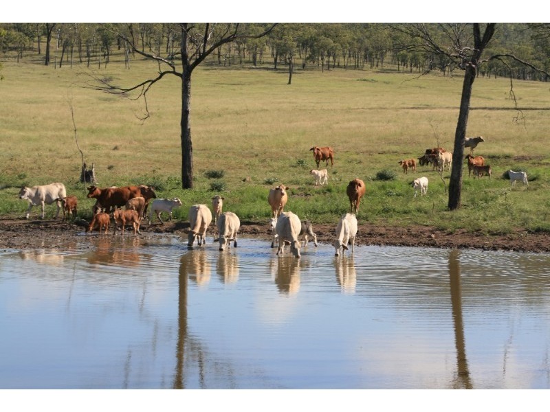 200 Zangaries Road, Biloela QLD 4715