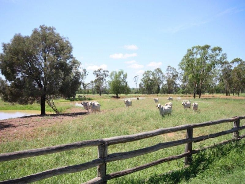 Dululu QLD 4702