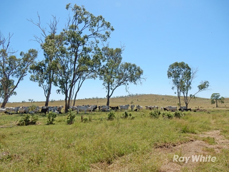 Thangool QLD 4716