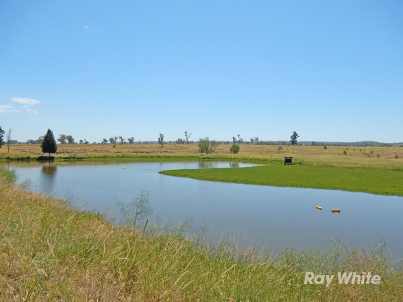Thangool QLD 4716