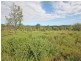 Thangool QLD 4716