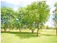 68 Parkers Lane, Thangool QLD 4716