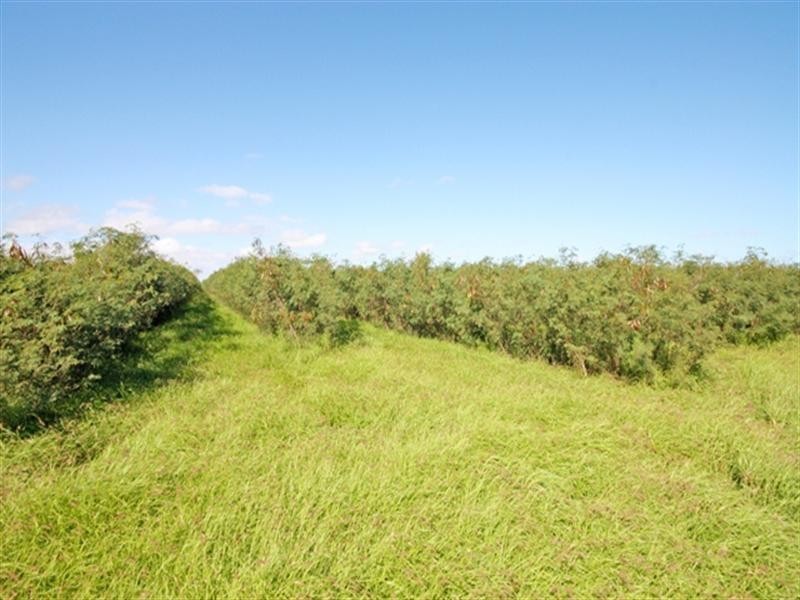 Mundubbera QLD 4626