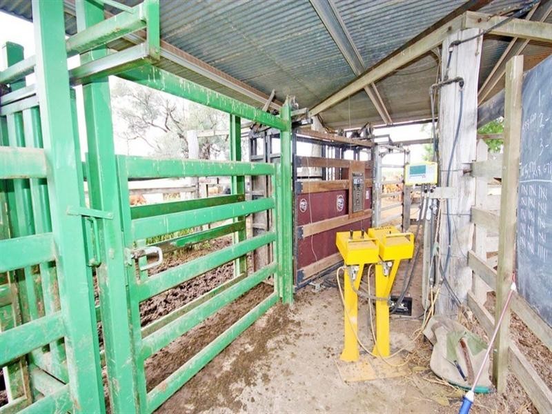 Mundubbera QLD 4626