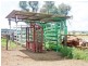 Mundubbera QLD 4626