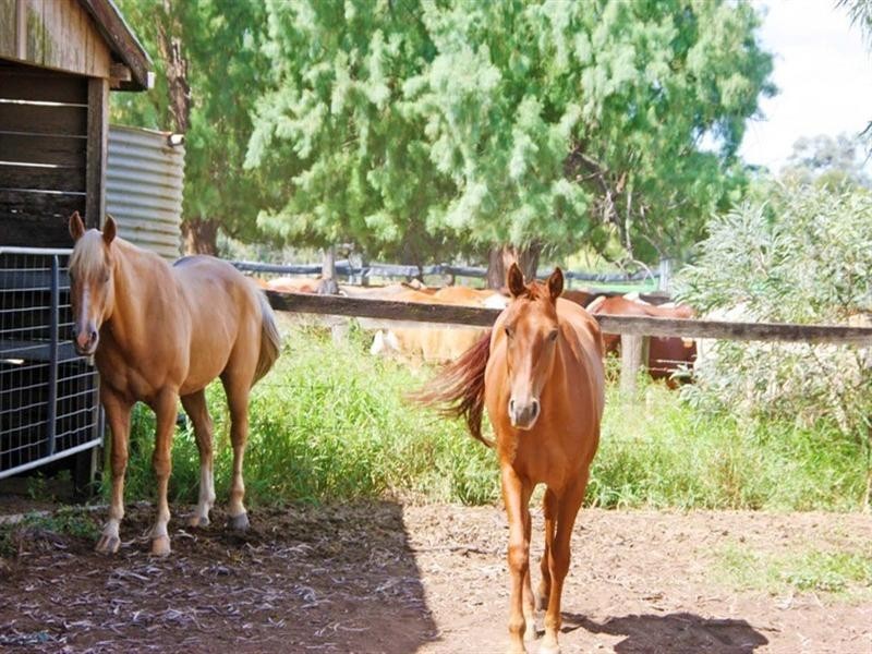 Mundubbera QLD 4626