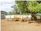 Mundubbera QLD 4626