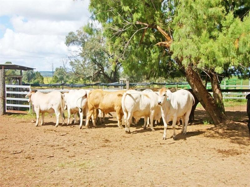 Mundubbera QLD 4626