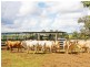 Mundubbera QLD 4626