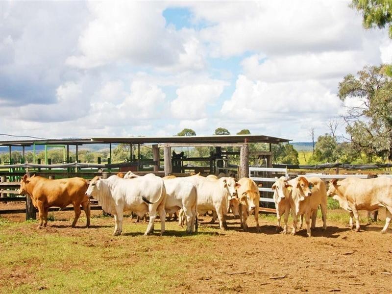 Mundubbera QLD 4626