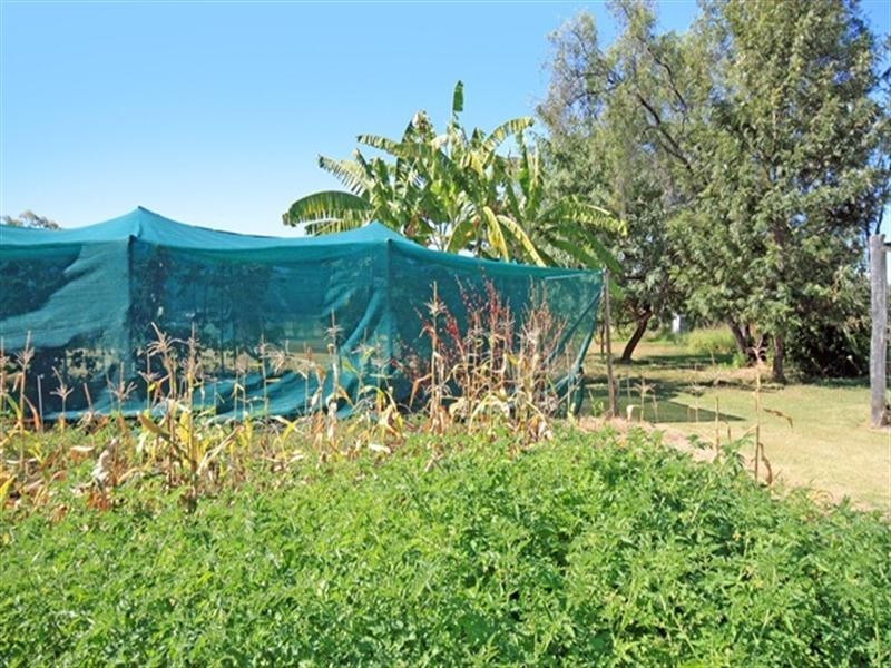 31 Meissners Road, Biloela QLD 4715