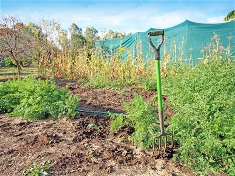 31 Meissners Road, Biloela QLD 4715