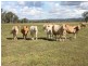 Monto QLD 4630