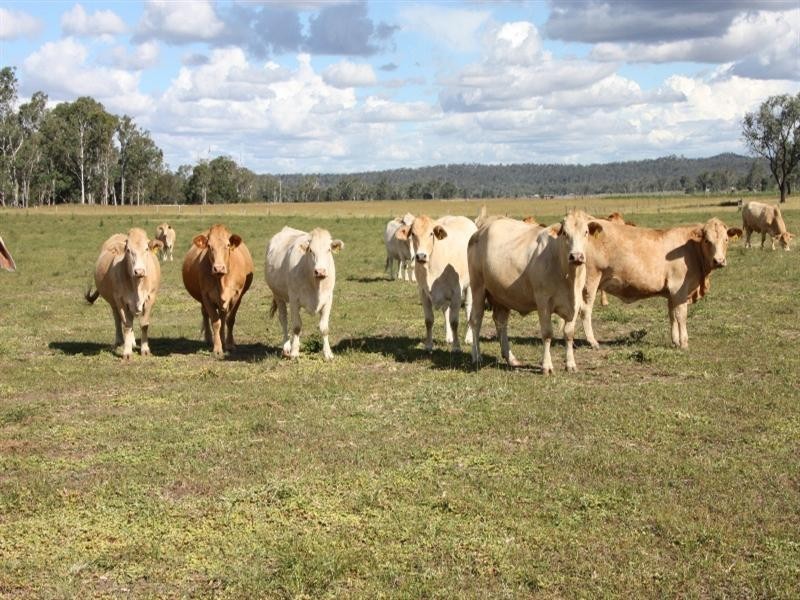 Monto QLD 4630