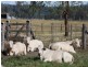 Monto QLD 4630