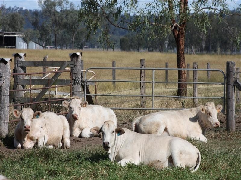 Monto QLD 4630