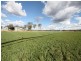 Monto QLD 4630
