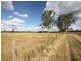 Monto QLD 4630