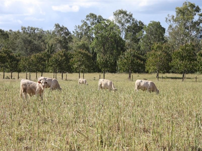 Monto QLD 4630