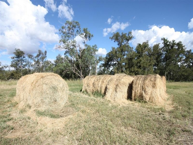 Monto QLD 4630