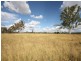 Monto QLD 4630