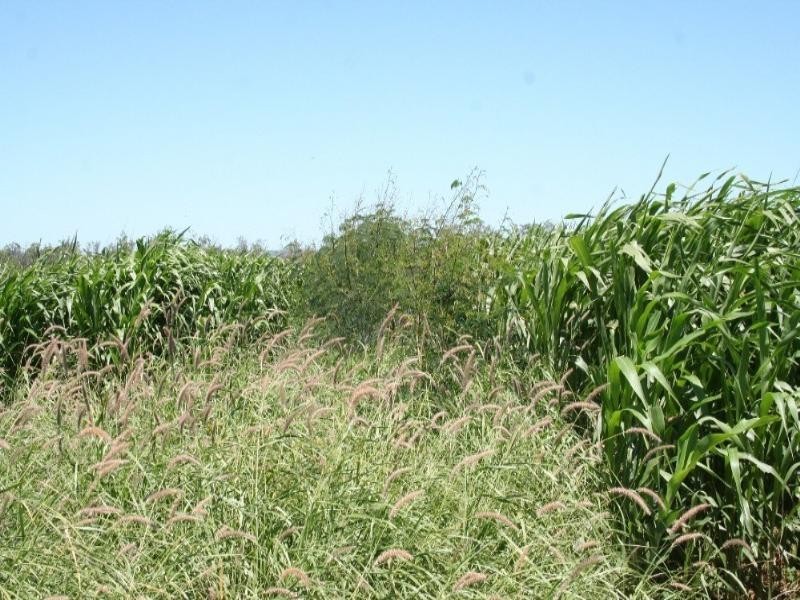 229 Coonambula Eidsvold Road, Mundubbera QLD 4626