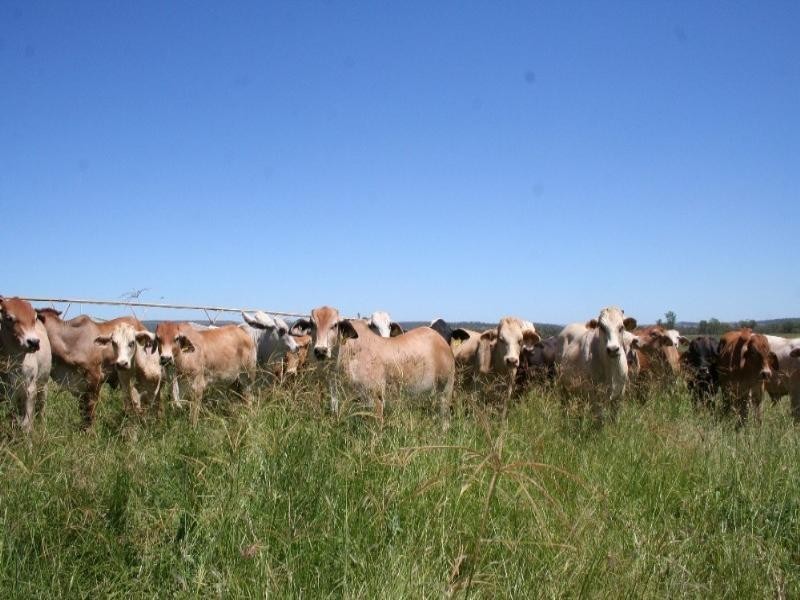 229 Coonambula Eidsvold Road, Mundubbera QLD 4626