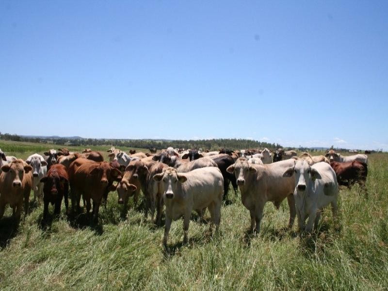 229 Coonambula Eidsvold Road, Mundubbera QLD 4626