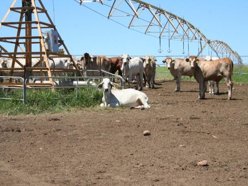 229 Coonambula Eidsvold Road, Mundubbera QLD 4626