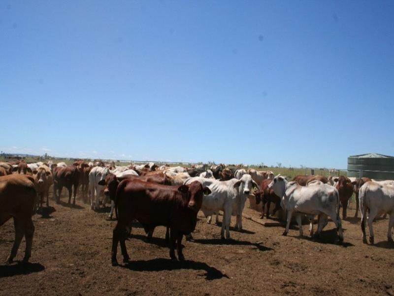 229 Coonambula Eidsvold Road, Mundubbera QLD 4626