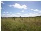 Thangool QLD 4716