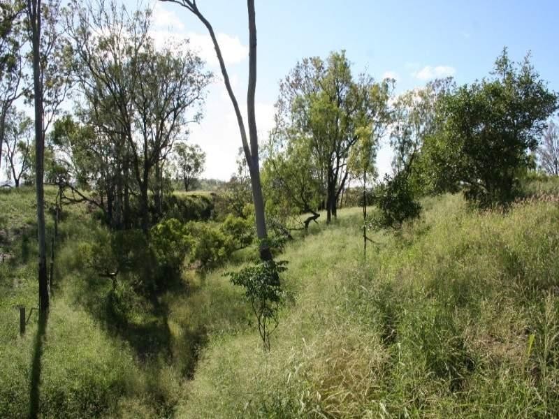 Thangool QLD 4716