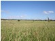 Thangool QLD 4716