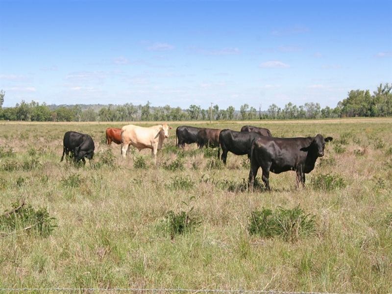 110 Thangool-Lookerbie Road, Thangool QLD 4716