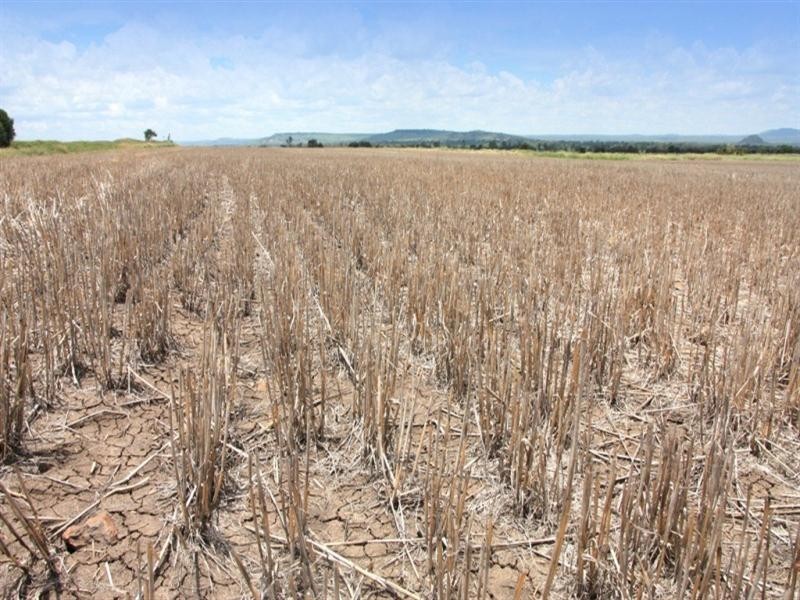Thangool QLD 4716