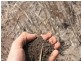 Thangool QLD 4716